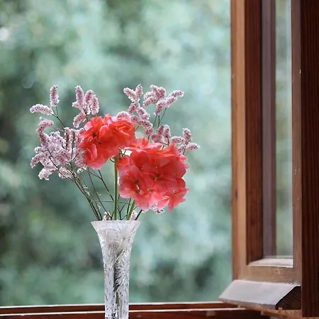 Сasa de vacaciones Casa Arezzola