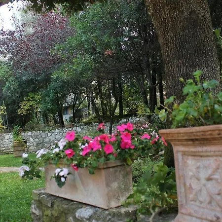 Holiday home Casa Arezzola
