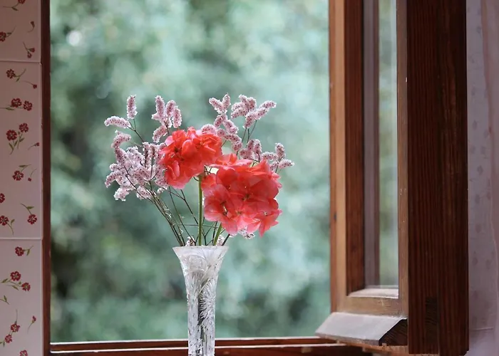 Casa de Férias Casa Arezzola